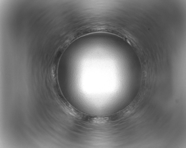 X0000053160373200507251915