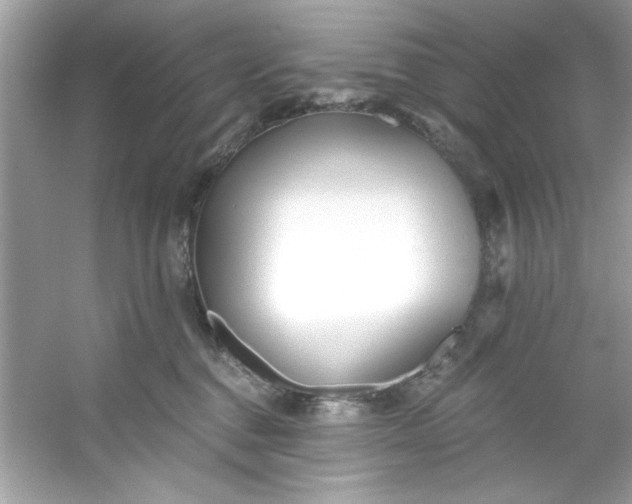 X0000053160376200507251915