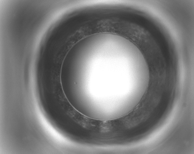 X0000053160382200507251915