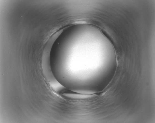 X0000053160385200507251914
