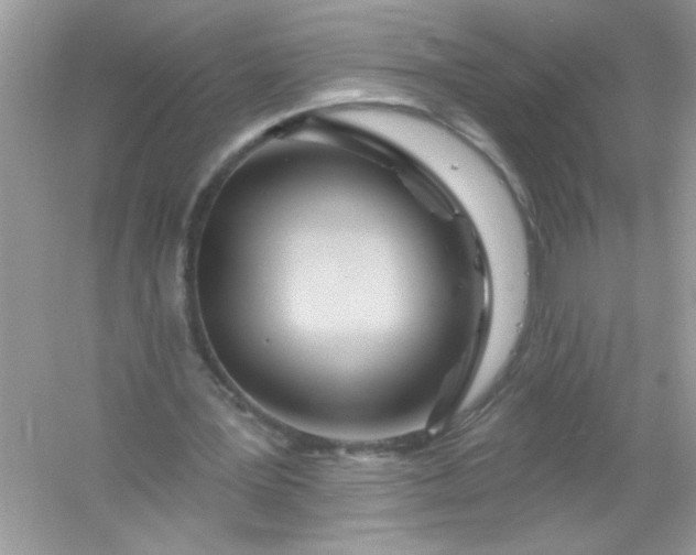 X0000053160387200507251914