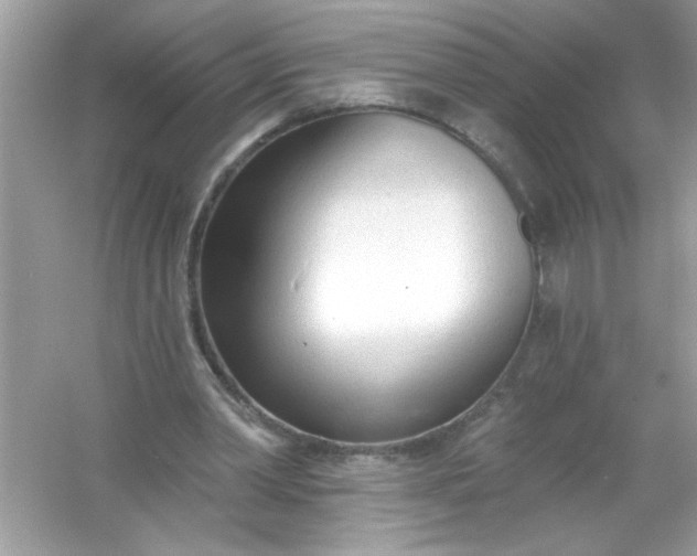 X0000053160390200507251914