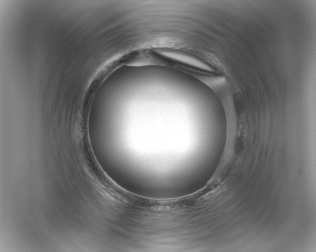 X0000053160392200507251914