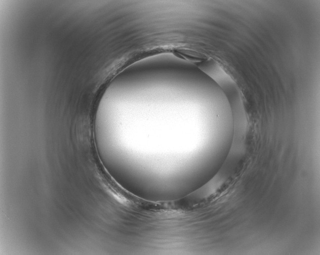 X0000053160397200507251914