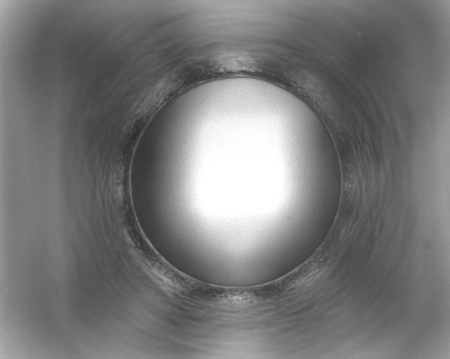 X0000053160402200507251914