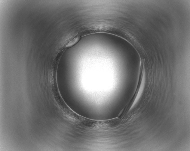 X0000053160403200507251914