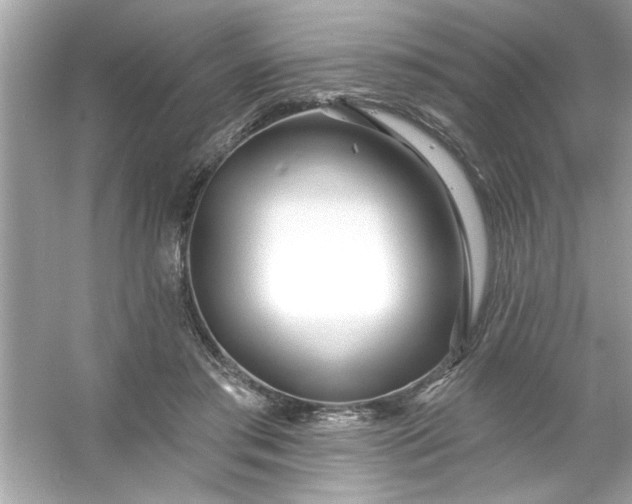 X0000053160405200507251914