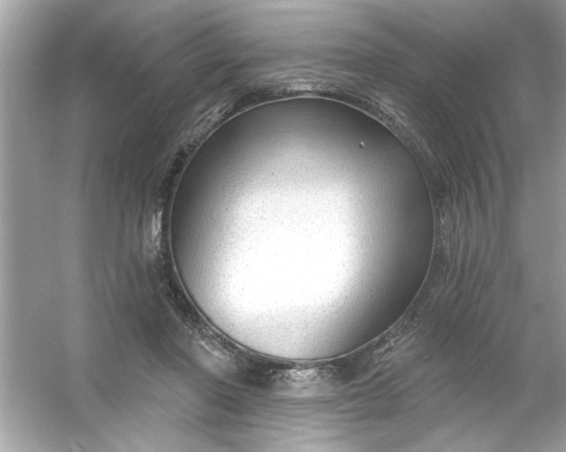 X0000053160406200507251914