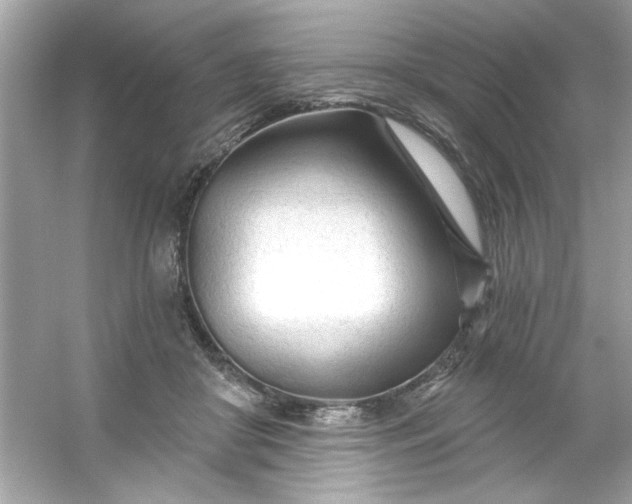 X0000053160410200507251914
