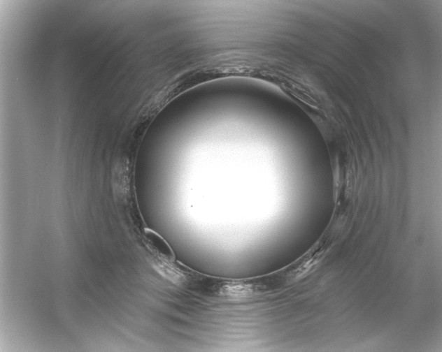 X0000053160413200507251913