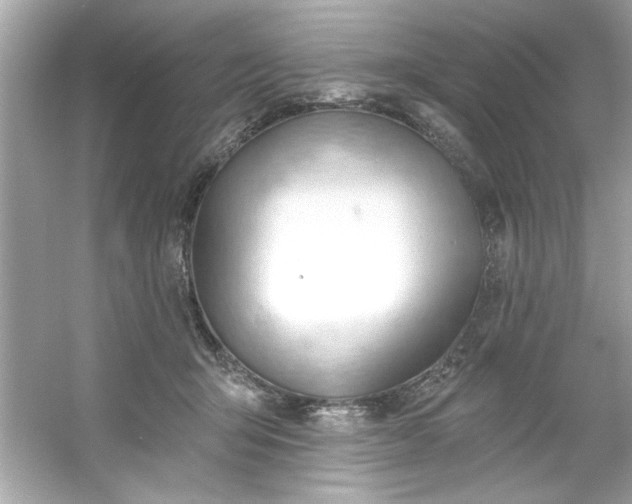 X0000053160415200507251913