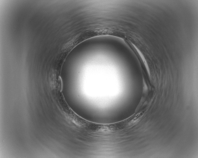 X0000053160416200507251913