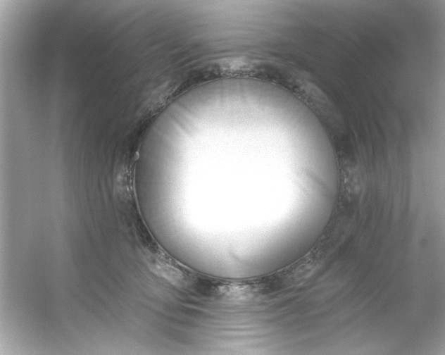 X0000053160419200507251913
