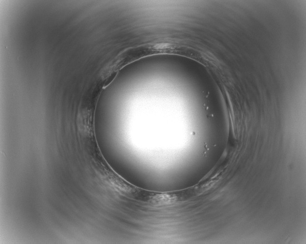 X0000053160421200507251913