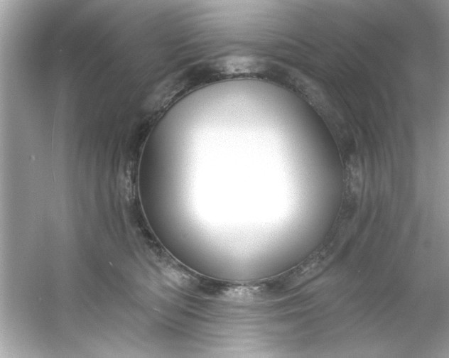 X0000053160422200507251913