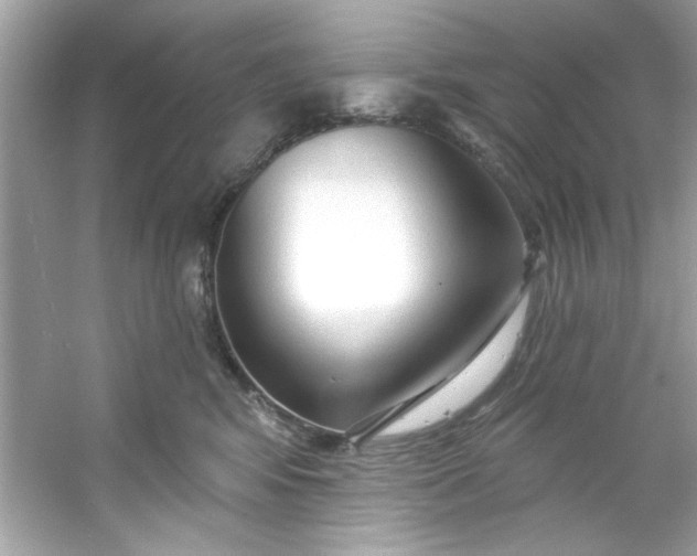 X0000053160424200507251913
