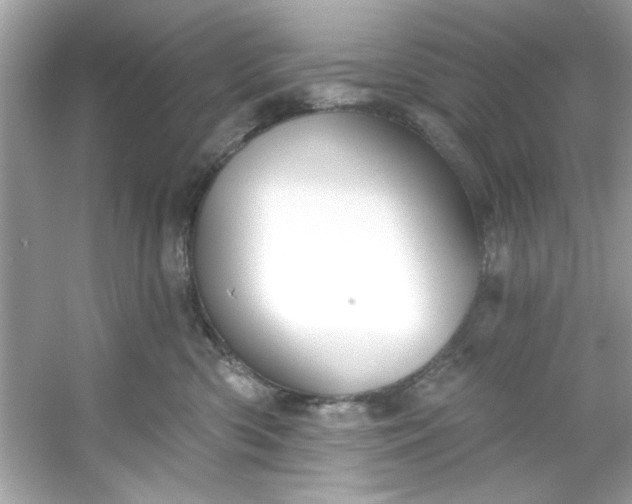 X0000053160426200507251913