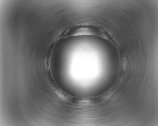 X0000053160428200507251913