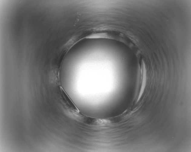 X0000053160429200507251913