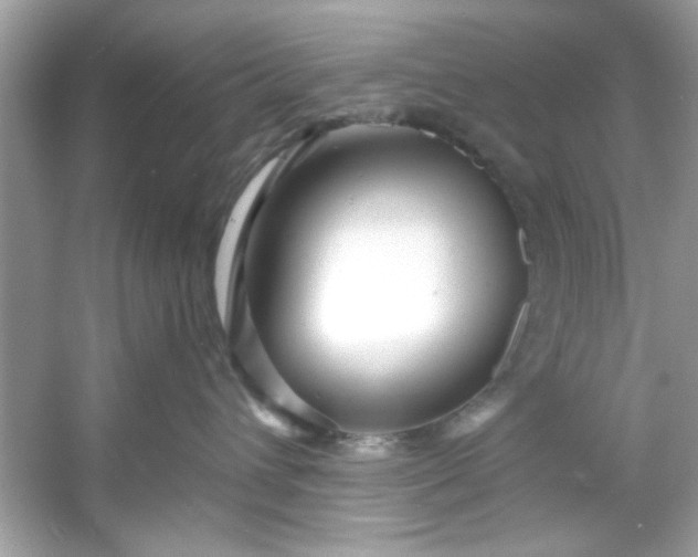 X0000053160432200507251913
