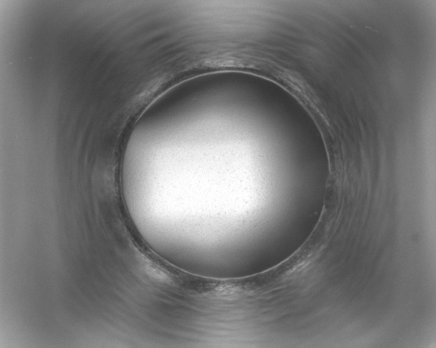 X0000053160441200507251912