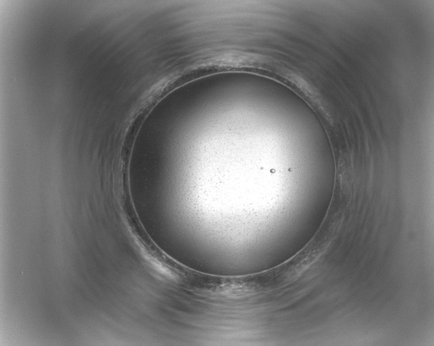 X0000053160445200507251913