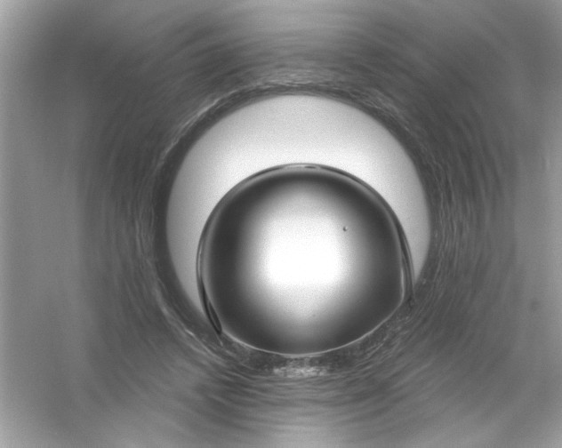 X0000053160448200507251913