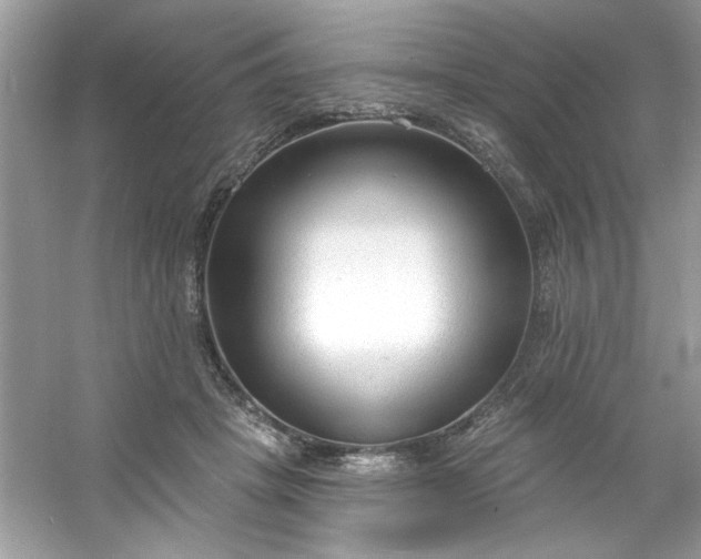 X0000053160457200507251913
