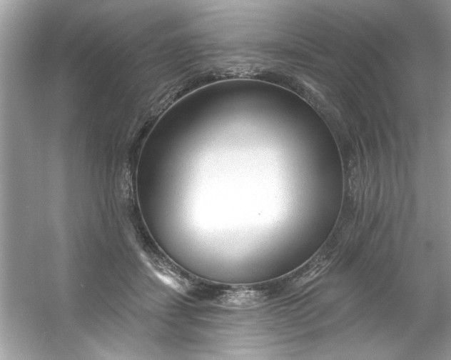 X0000053160459200507251913