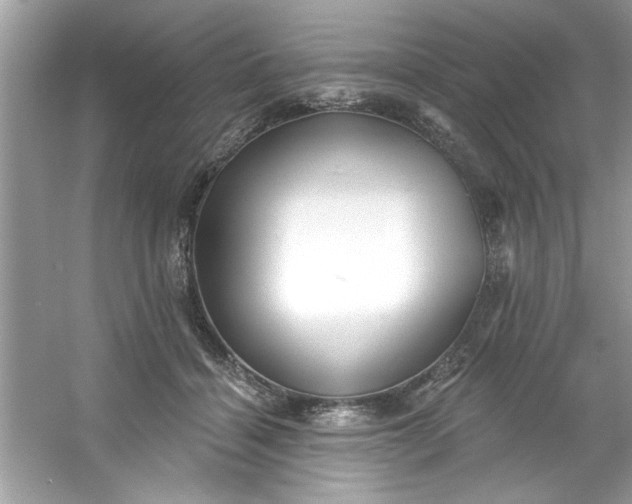 X0000053160460200507251913