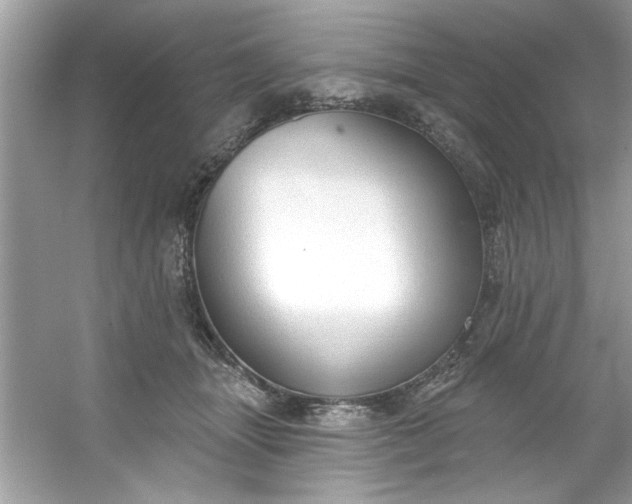 X0000053160463200507251913