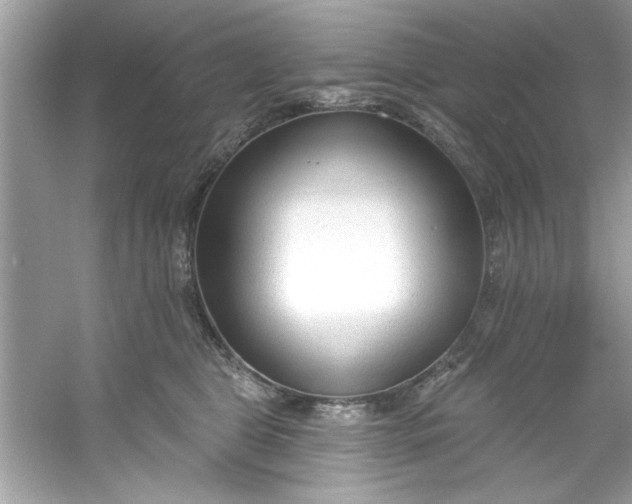X0000053160469200507251913