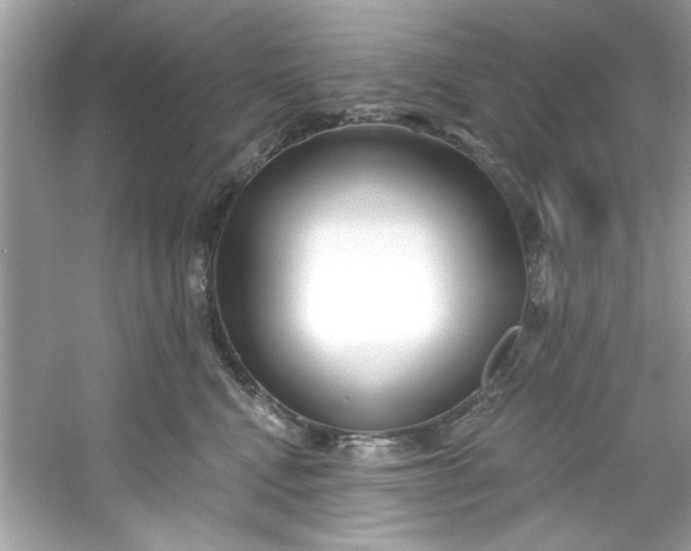 X0000053160472200507251913