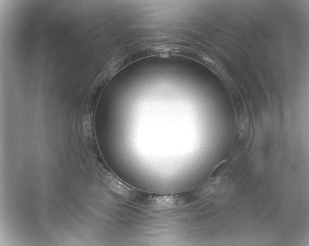 X0000053160473200507251913