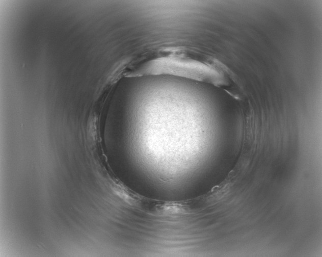 X0000053160475200507251913