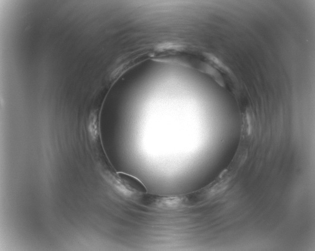 X0000053160479200507251913