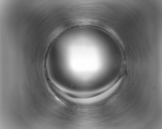 X0000053160485200507251912
