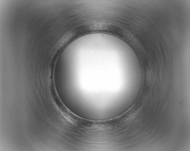 X0000053160490200507251912