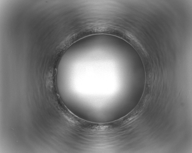 X0000053160497200507251912