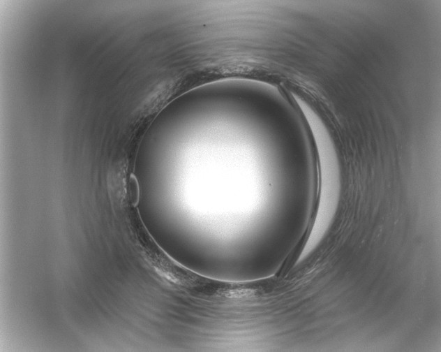 X0000053160501200507251912