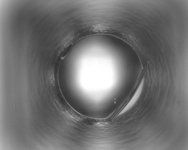 X0000053160508200507251912