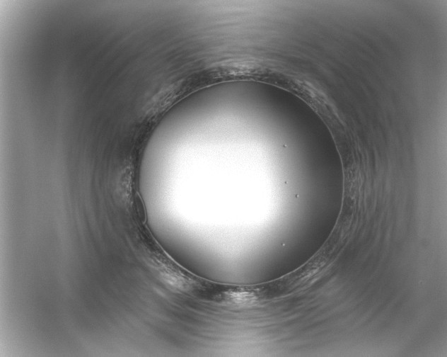 X0000053160509200507251912