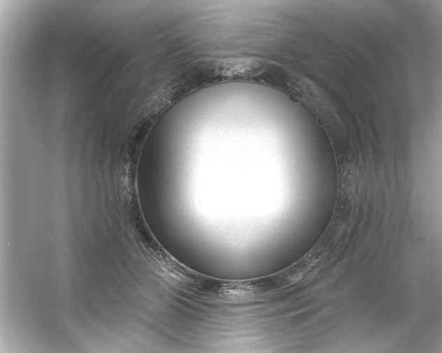 X0000053160510200507251912