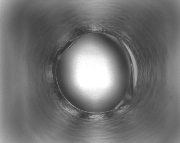 X0000053160516200507251912