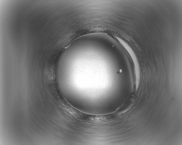 X0000053160517200507251912