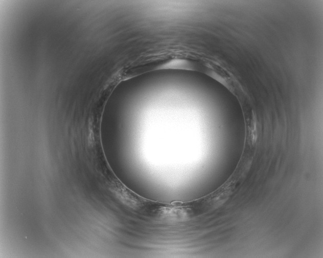 X0000053160520200507251912