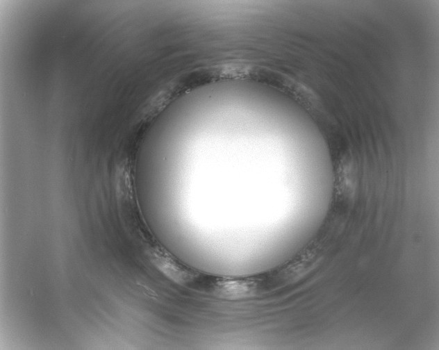 X0000053160522200507251912
