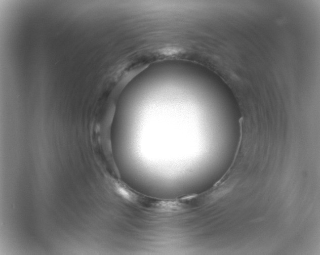 X0000053160528200507251912
