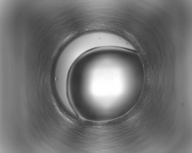 X0000053160538200507251911