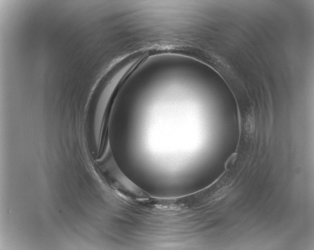 X0000053160540200507251911